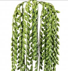 senecio-hanging-bush-85cm-real-touch